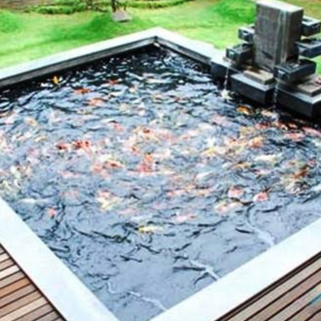 Jasa pembuatan taman dan kolam ikan depok